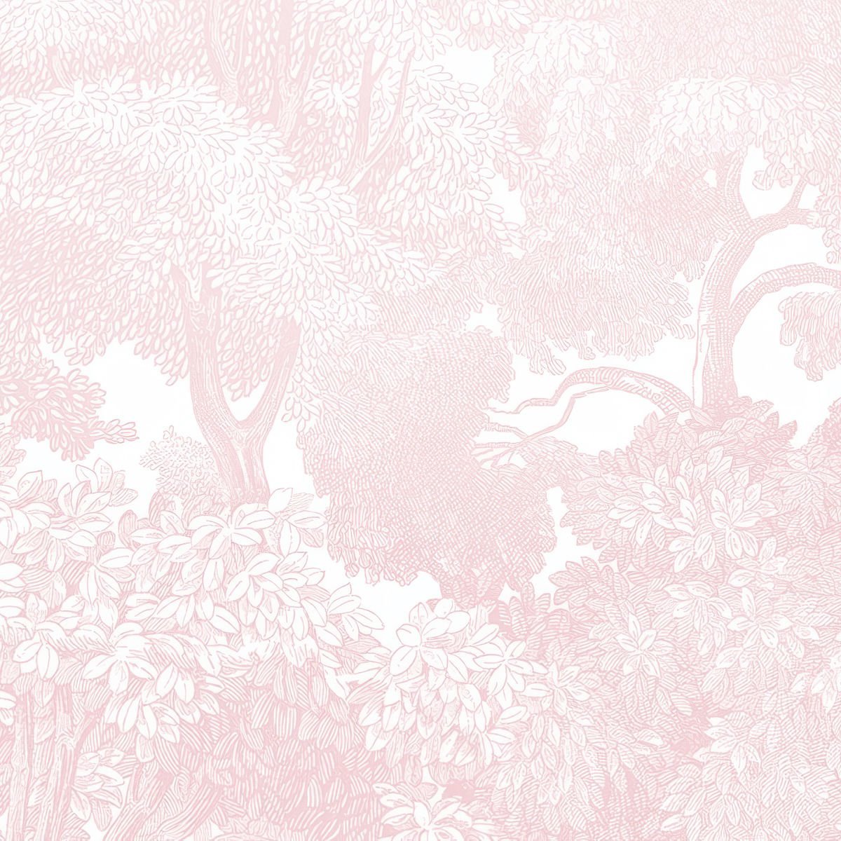 Soft Pembe Monokrom Orman Duvar Kağıdı