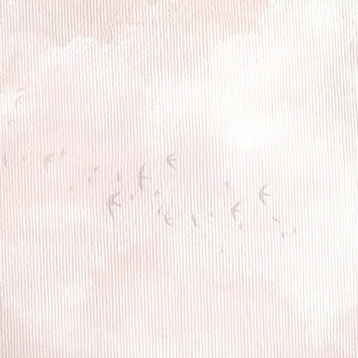 Çizgi Dokulu Pembe Bulutlar Duvar Kağıdı