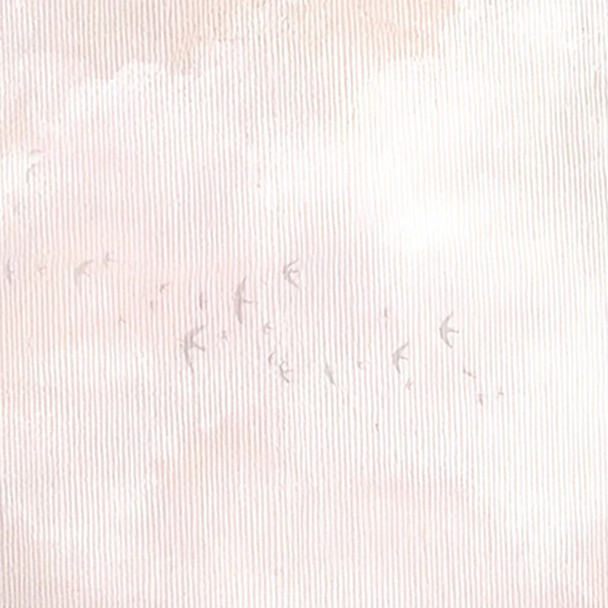 Çizgi Dokulu Pembe Bulutlar Duvar Kağıdı