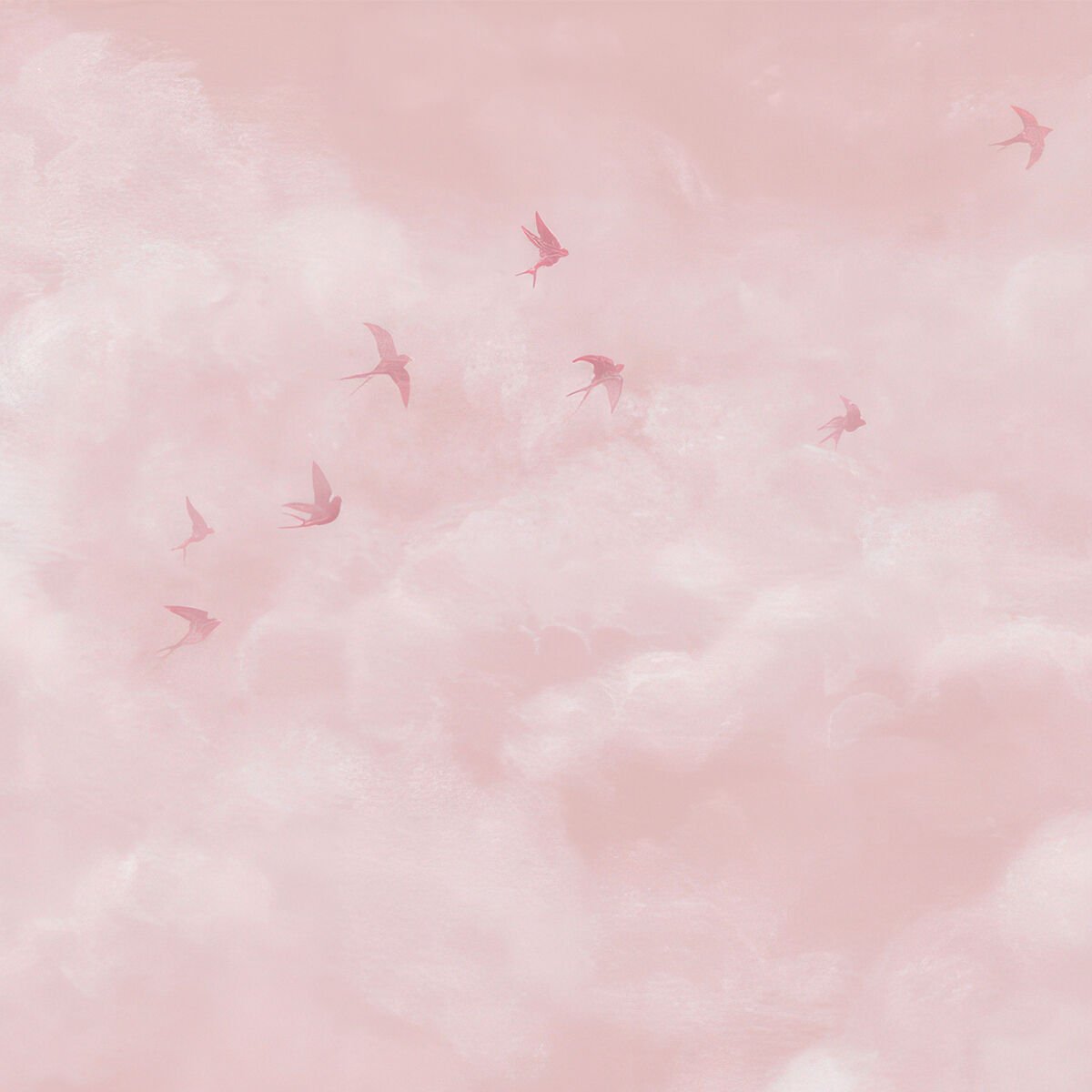 Pembe Gökyüzü ve Martılar Duvar Kağıdı