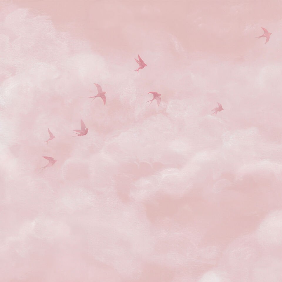Pembe Gökyüzü ve Martılar Duvar Kağıdı