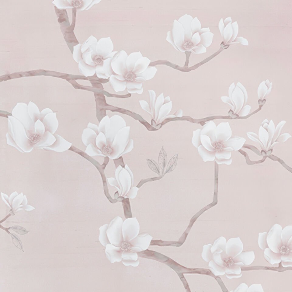 Sakura Çiçekleri Duvar Kağıdı