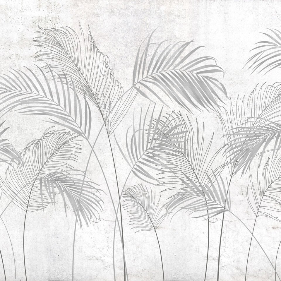 Arvirexa V Duvar Kağıdı