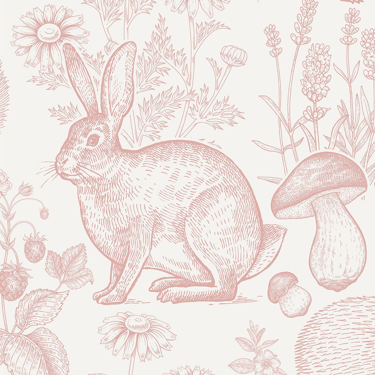 Monokrom Hayvanlar 3 Duvar Kağıdı