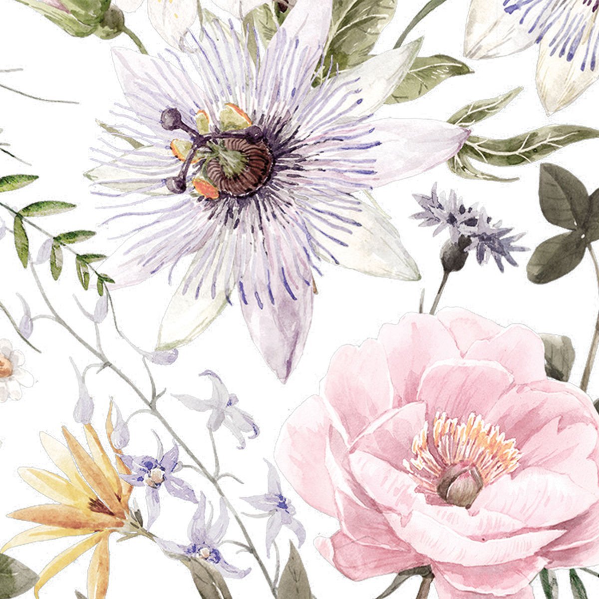 Sardunya ve Güller Duvar Kağıdı