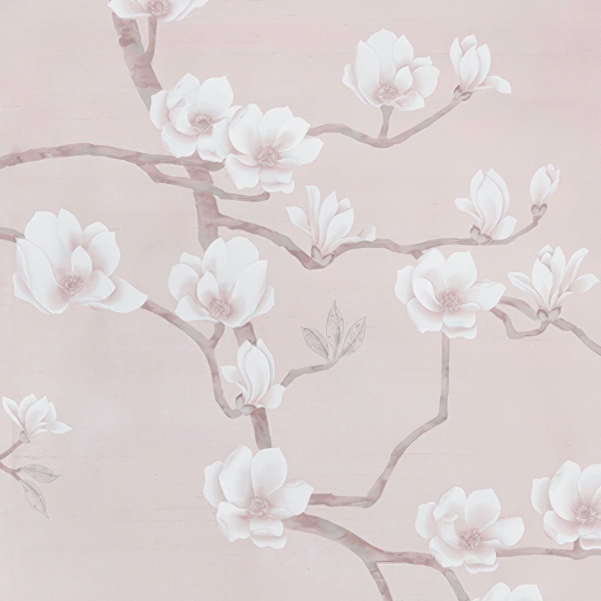 Sakura Çiçekleri Duvar Kağıdı